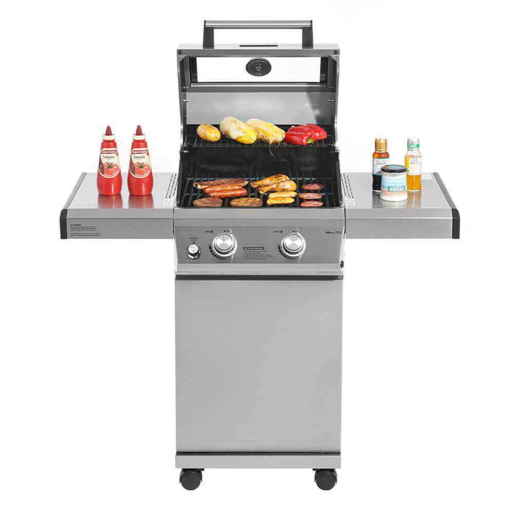 Classic 14633 | Stainless Propane Gas Grill - Skoutley Outdoors LLC