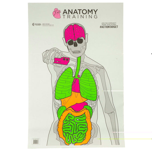 Action Tgt Anatomy Trng 100pk - Skoutley Outdoors LLC