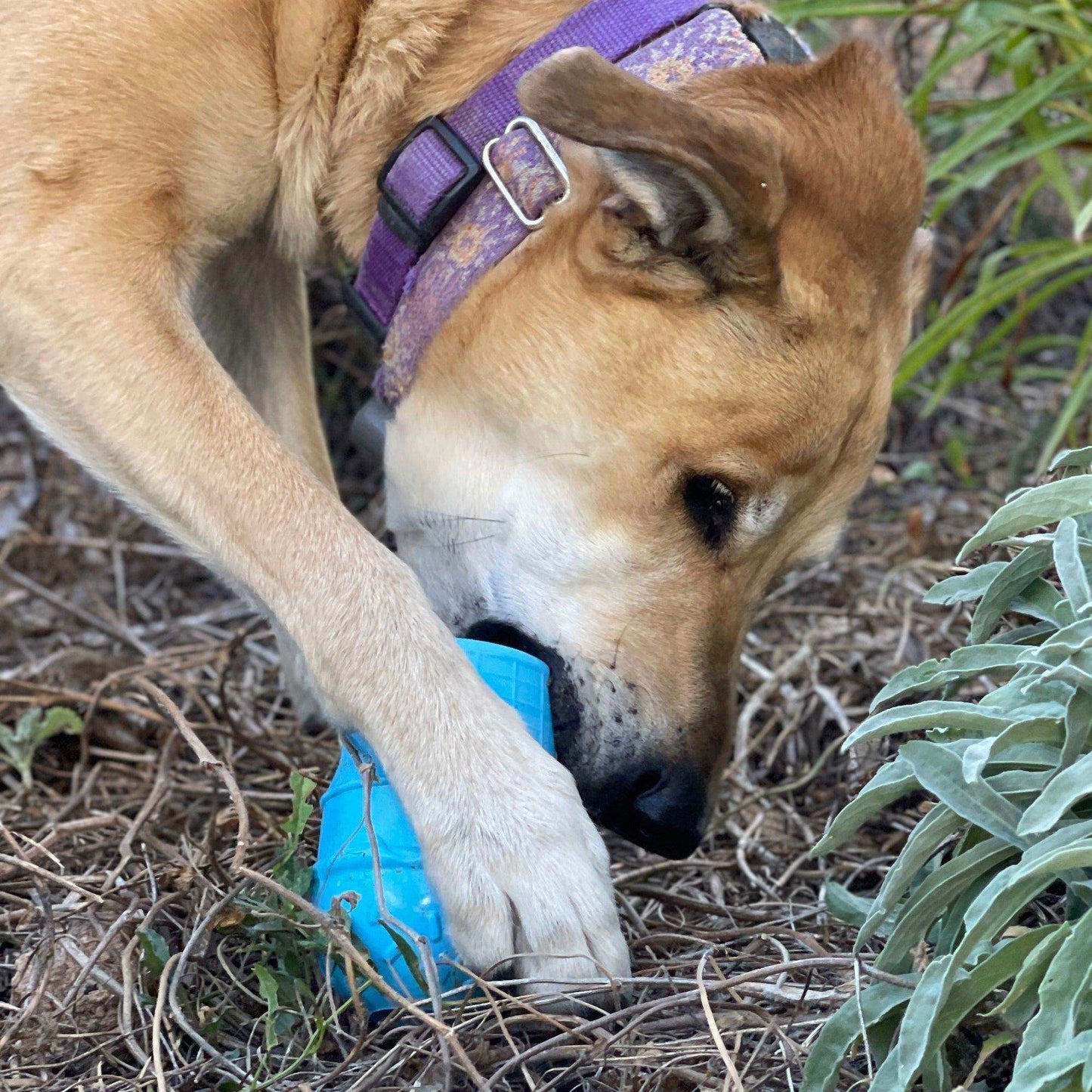 Ice Cream Cone Durable PUP-X Rubber eDispenser Chew Toy and Treat Dispenser - Skoutley Outdoors LLC