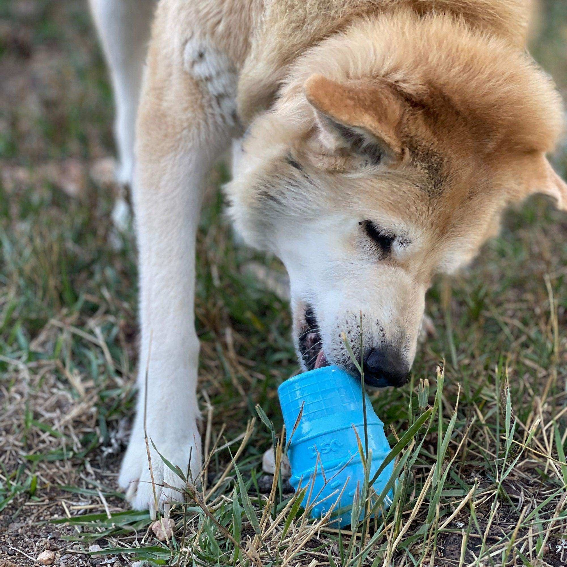 Ice Cream Cone Durable PUP-X Rubber eDispenser Chew Toy and Treat Dispenser - Skoutley Outdoors LLC