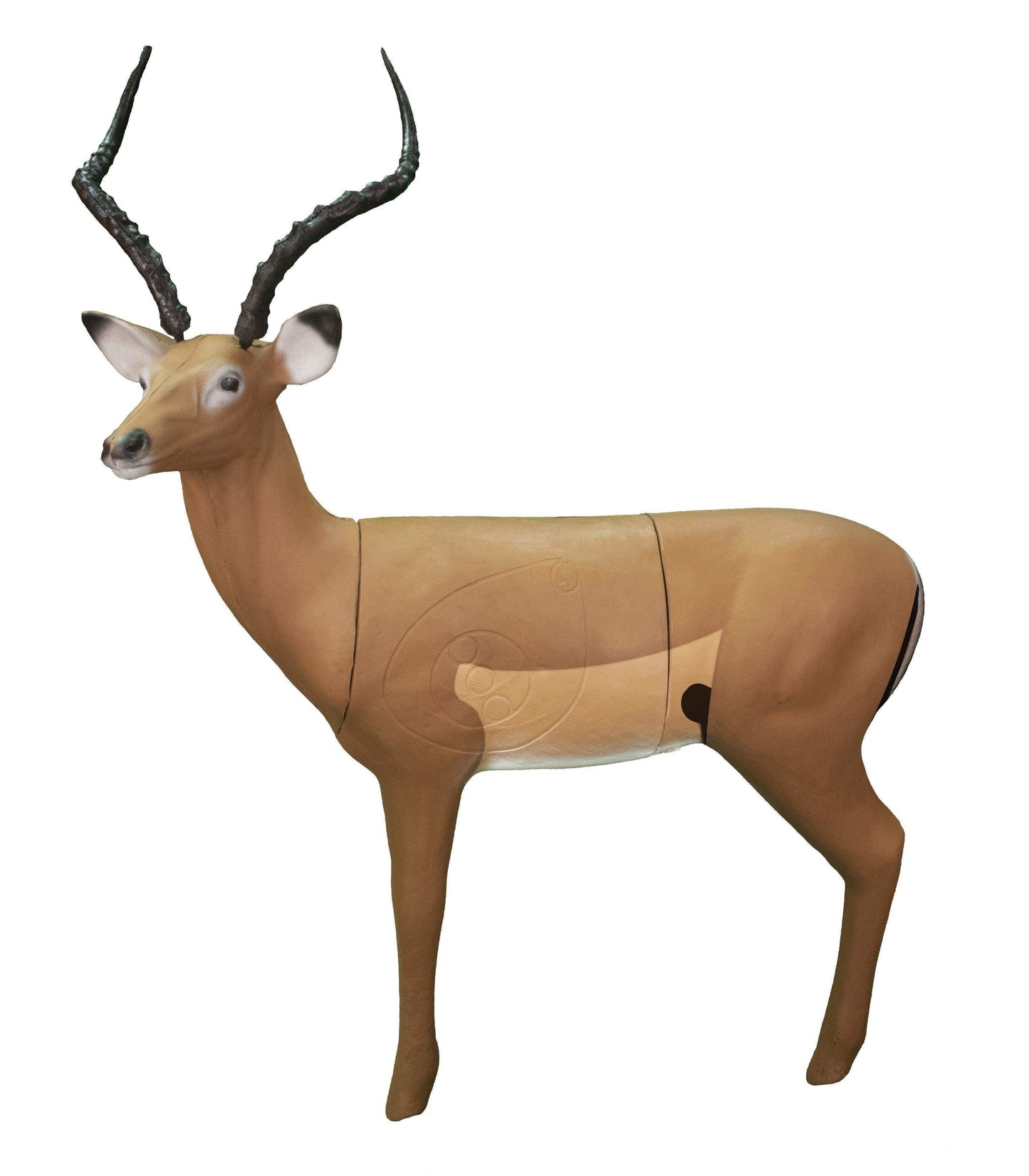 Real Wild 3D African Impala Archery Target - Skoutley Outdoors LLC