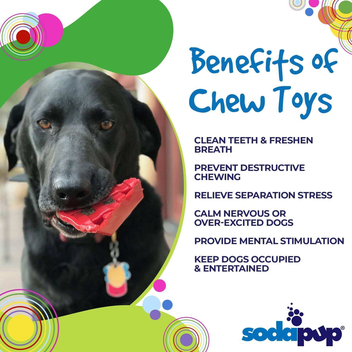 Cherry Pie eChew Ultra Durable Nylon Dog Chew Toy and Treat Holder - Skoutley Outdoors LLC