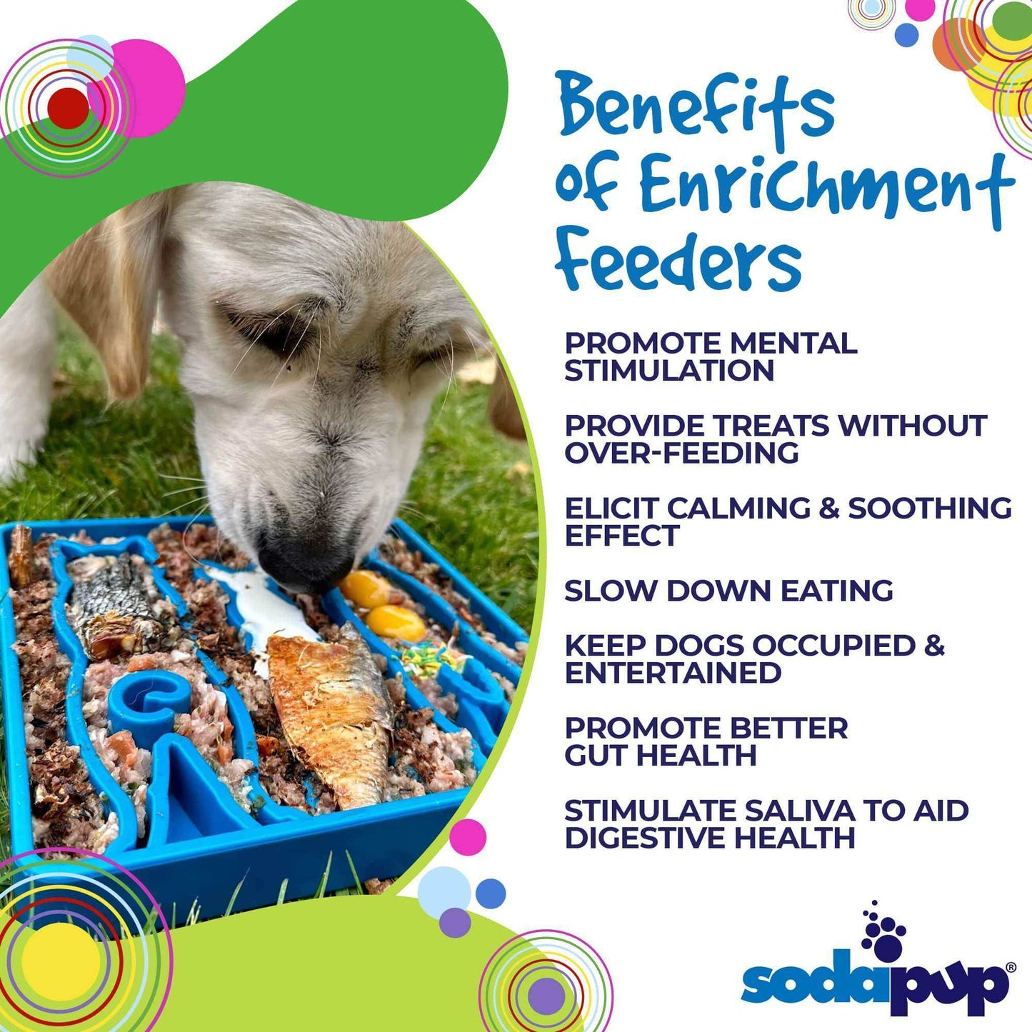 Waiting Dogs Design eTray Enrichment Tray for Dogs - Skoutley Outdoors LLC