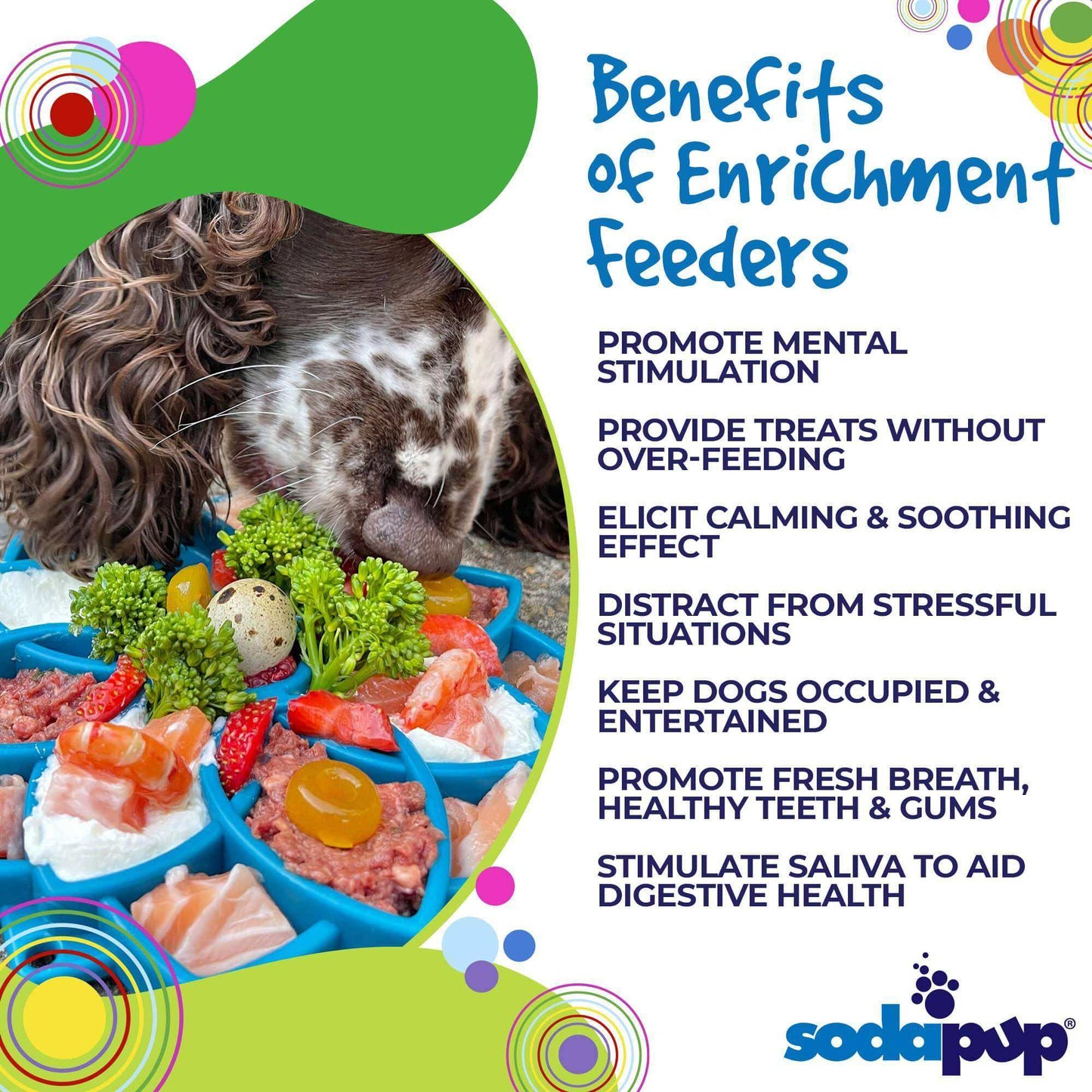 Mandala Design eTray Enrichment Tray for Dogs - Skoutley Outdoors LLC