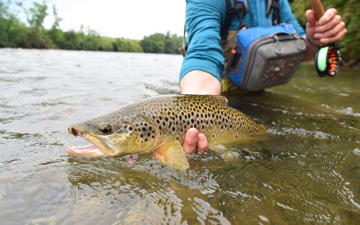 3 Pack Kaufmann's Orange Crystal Stimulator Rubber Legs Dry Fly - Hook Size 12 - Skoutley Outdoors LLC