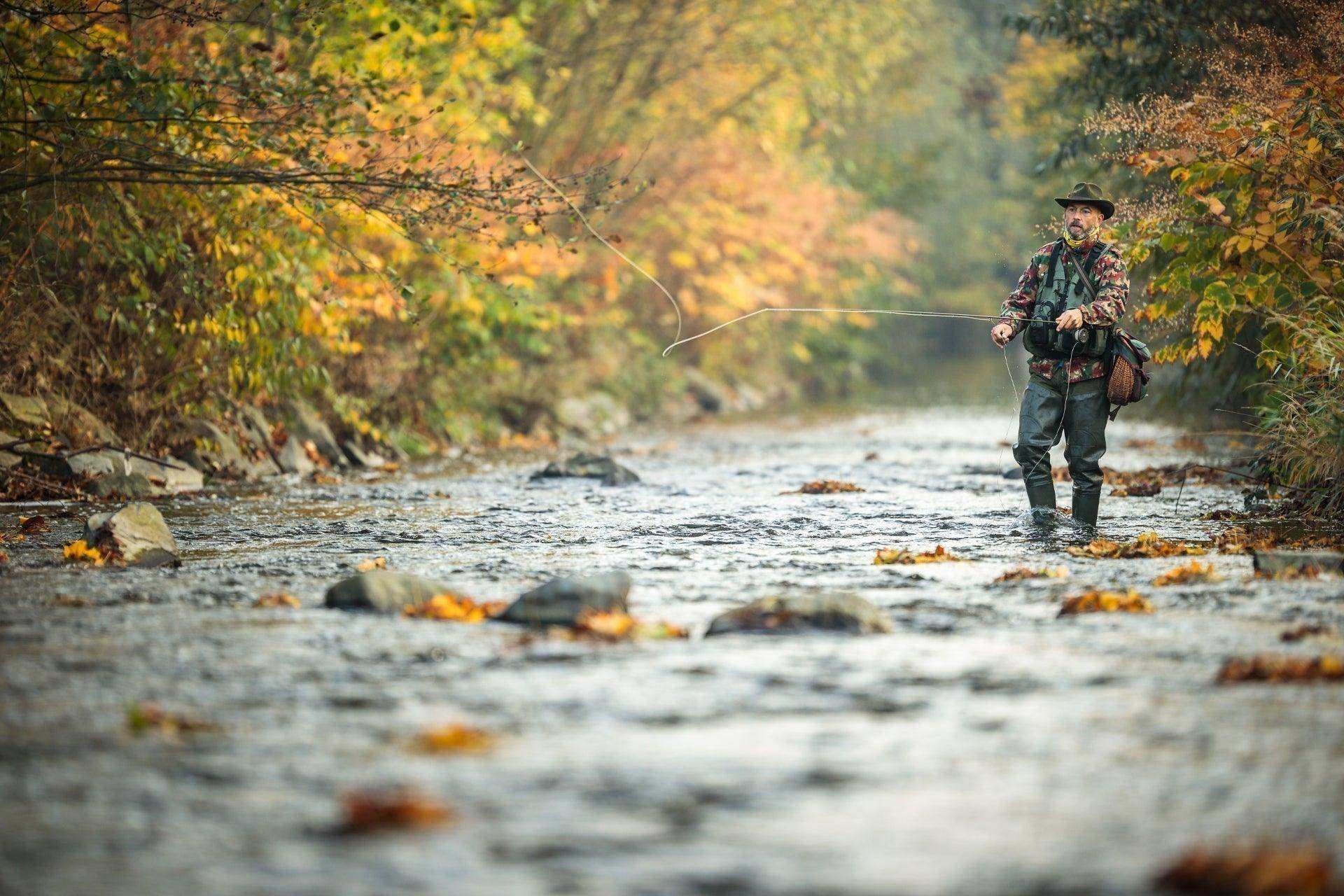 Tungsten Bead Kaufmann's Black Stone Fly with Rubber Legs - Stonefly Wet Fly - 6 Flies Hook Size 8 - Skoutley Outdoors LLC