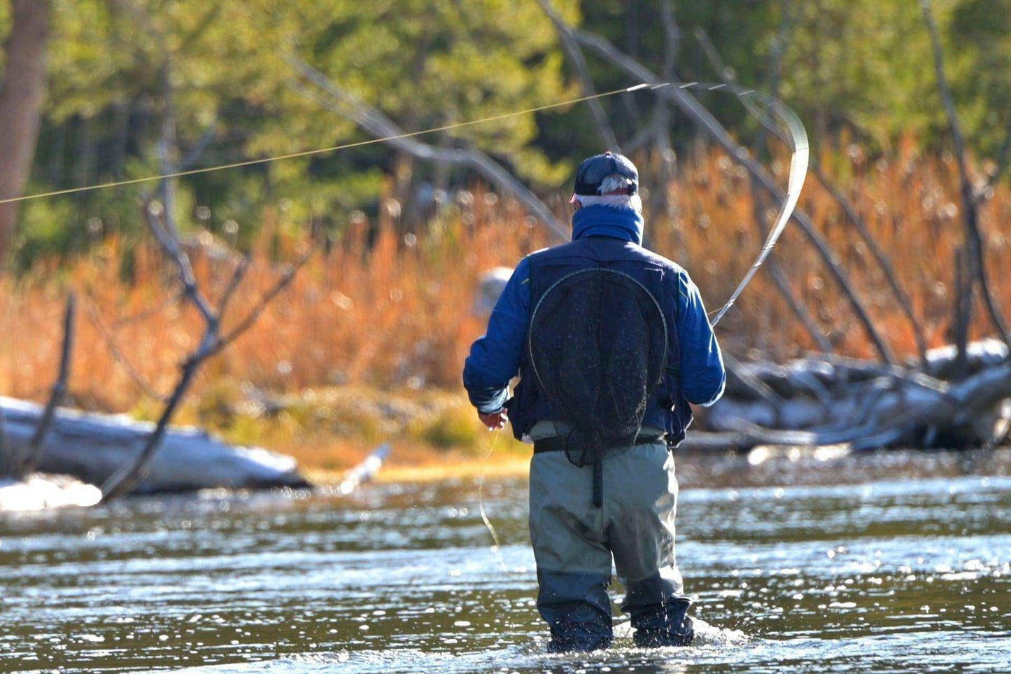 Tungsten Bead Kaufmann's Golden Stone Fly Nymph Rubber Legs - 1 Dozen Hook Size 6 - Skoutley Outdoors LLC