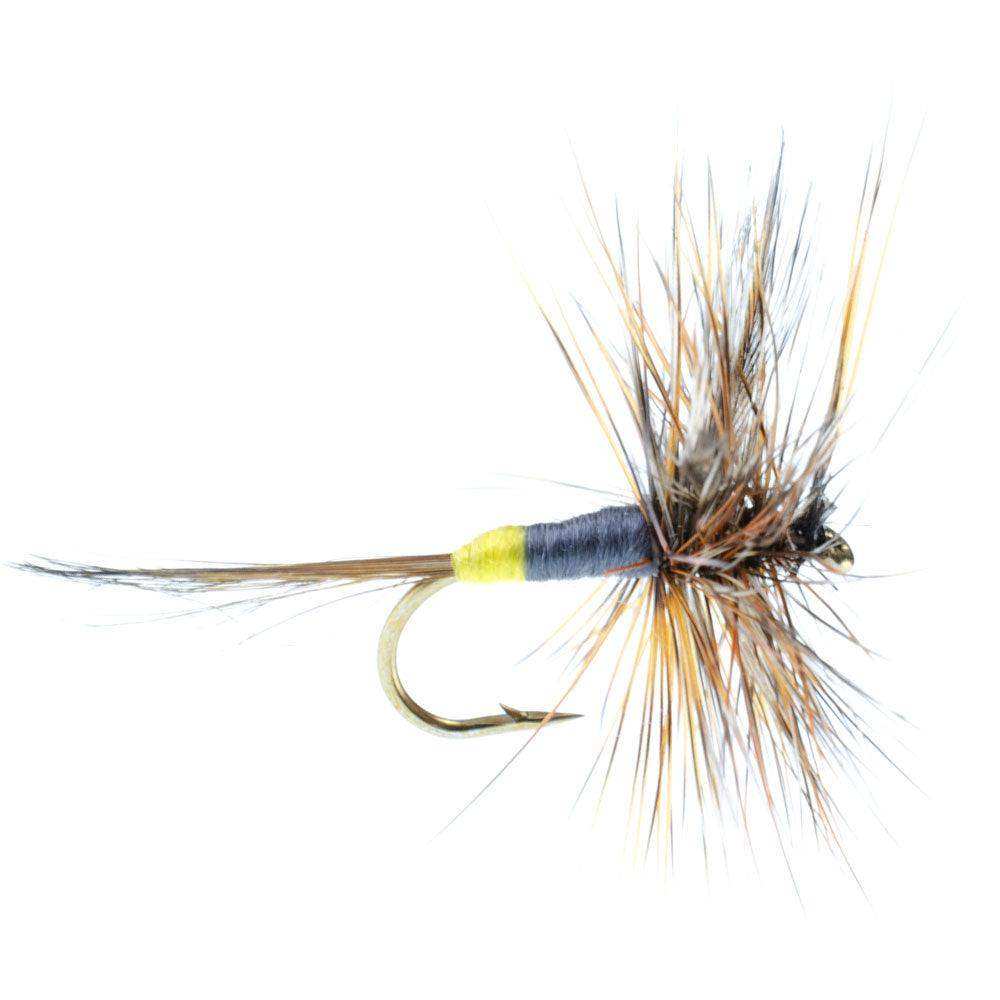 Adams Female Classic Dry Fly - 6 Flies - Hook Size 12 - Skoutley Outdoors LLC