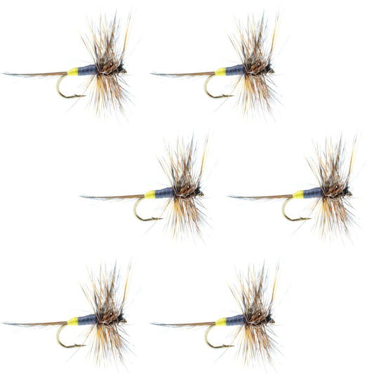 Adams Female Classic Dry Fly - 6 Flies - Hook Size 12 - Skoutley Outdoors LLC