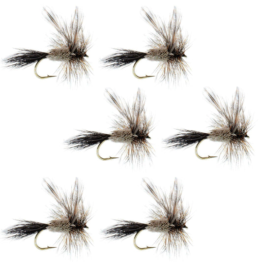 Adams Irresistible Classic Dry Fly - 6 Flies - Hook Size 12 - Skoutley Outdoors LLC