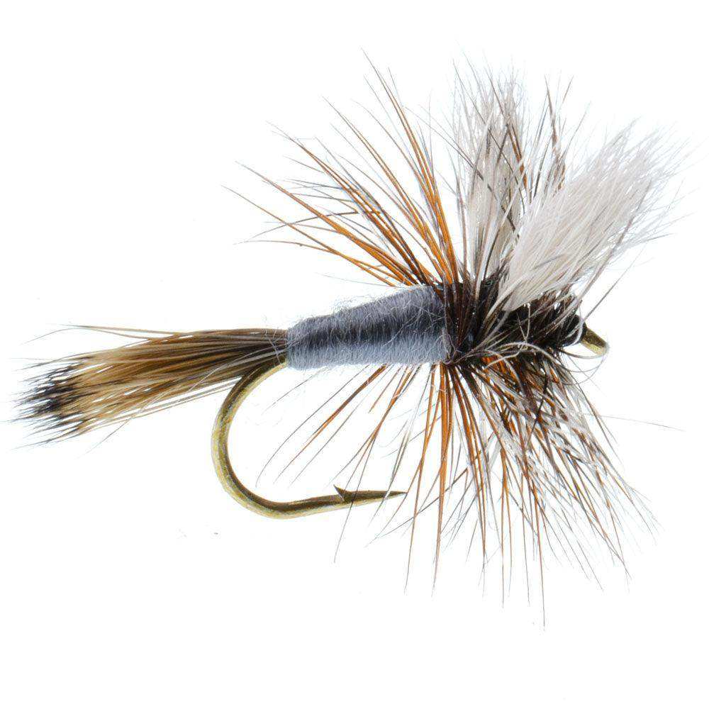 Basics Collection - Wulff Dry Fly Assortment - 10 Dry Fishing Flies - 5 Patterns - Hook Sizes 10, 12, 14 - Skoutley Outdoors LLC