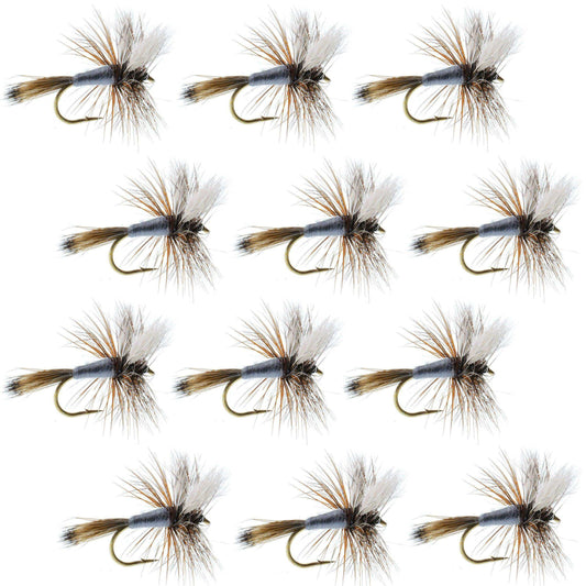 Adams Wulff Classic Dry Fly 1 Dozen Flies Hook Size 10 - Skoutley Outdoors LLC