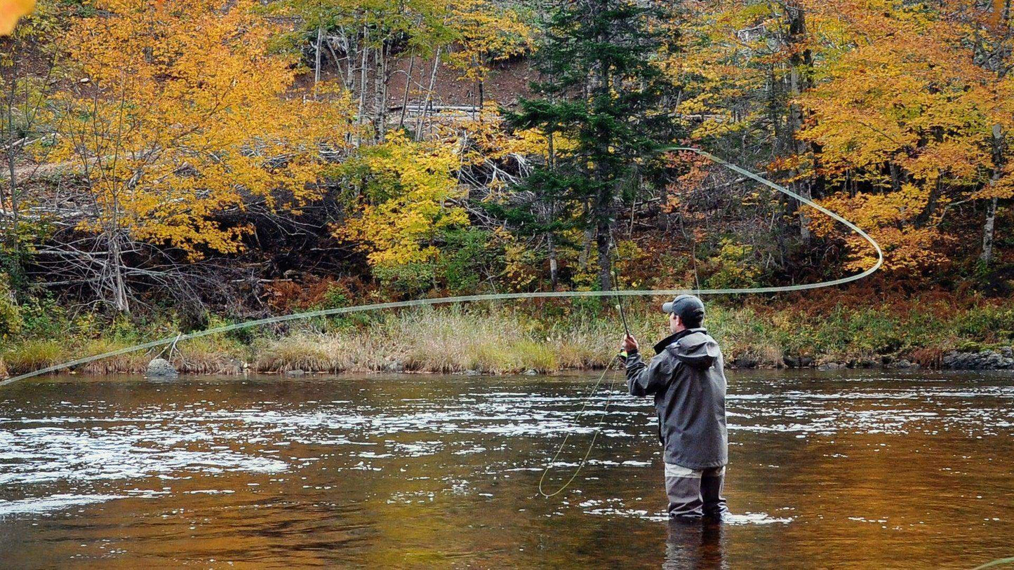 Pale Morning Dun PMD Classic Dry Fly - 6 Flies Hook Size 16 - Skoutley Outdoors LLC