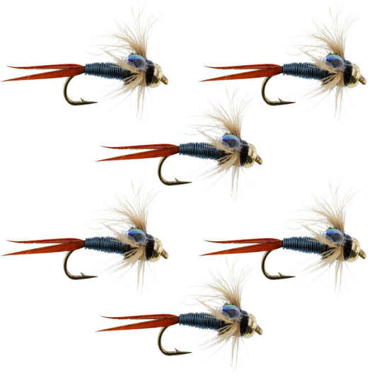 Bead Head Metallic Blue Copper John Nymph - 6 Fly Fishing Flies - Hook Size 10 - Skoutley Outdoors LLC