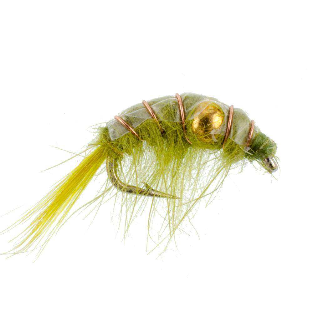 3 Pack Olive Beaded Shrimp Scud Pattern - Size 12 - Tailwater Lake Fly Fishing Nymph Flies - Skoutley Outdoors LLC