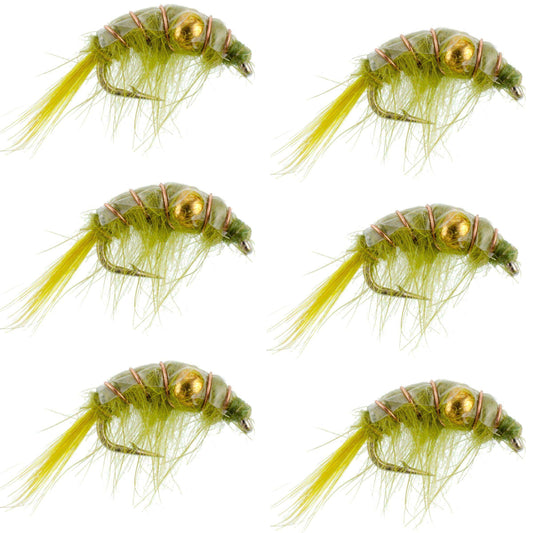 Olive Beaded Shrimp Scud Pattern - 6 Flies - Size 12 - Tailwater Lake Fly Fishing Nymph Flies - Skoutley Outdoors LLC