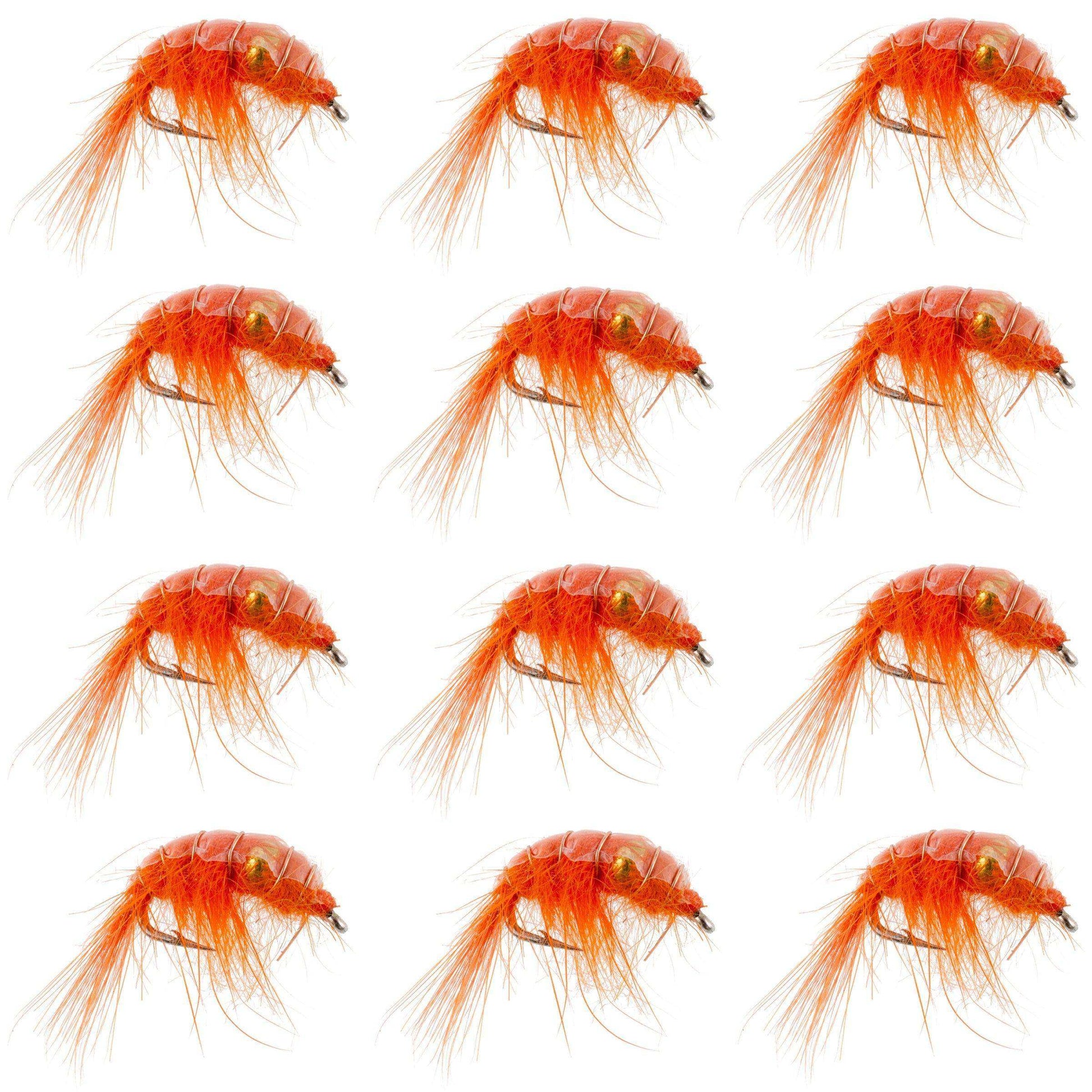 Orange Beaded Shrimp Scud Pattern - 1 Dozen Size 12 - Tailwater Lake Fly Fishing Nymph Flies - Skoutley Outdoors LLC