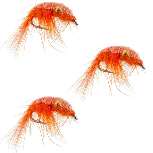 3 Pack Orange Beaded Shrimp Scud Pattern - Size 12 - Tailwater Lake Fly Fishing Nymph Flies - Skoutley Outdoors LLC