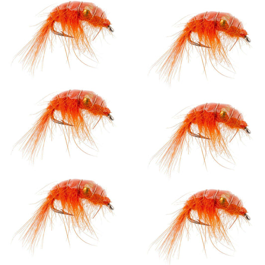 Orange Beaded Shrimp Scud Pattern - 6 Flies - Size 12 - Tailwater Lake Fly Fishing Nymph Flies - Skoutley Outdoors LLC