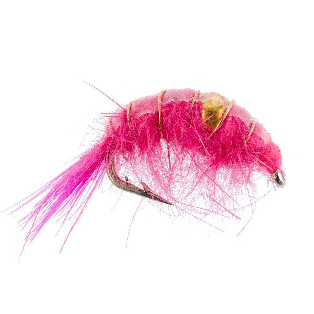 Pink Beaded Shrimp Scud Pattern - 6 Flies - Size 12 - Tailwater Lake Fly Fishing Nymph Flies - Skoutley Outdoors LLC