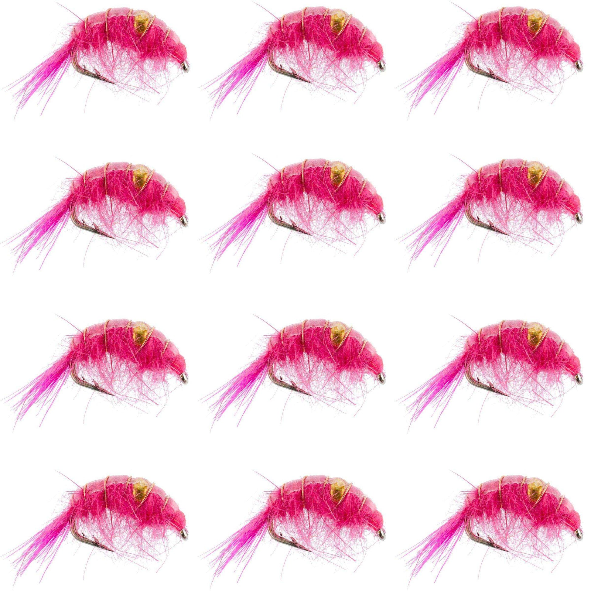 Pink Beaded Shrimp Scud Pattern - 1 Dozen Size 12 - Tailwater Lake Fly Fishing Nymph Flies - Skoutley Outdoors LLC