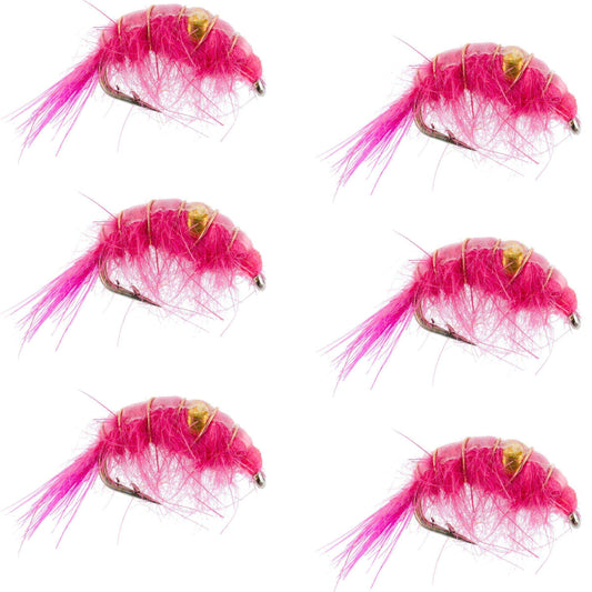 Pink Beaded Shrimp Scud Pattern - 6 Flies - Size 12 - Tailwater Lake Fly Fishing Nymph Flies - Skoutley Outdoors LLC