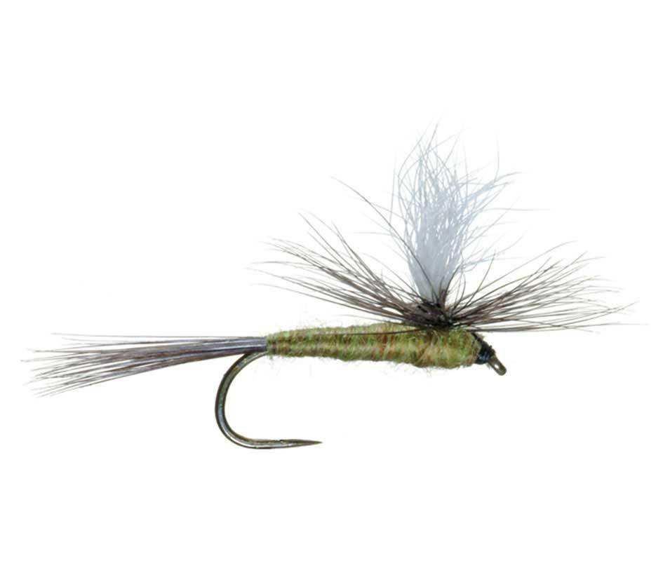 Barbless Parachute Blue Winged Olive BWO Classic Trout Dry Fly Fishing Flies - Set of 6 Flies Size 18 - Skoutley Outdoors LLC