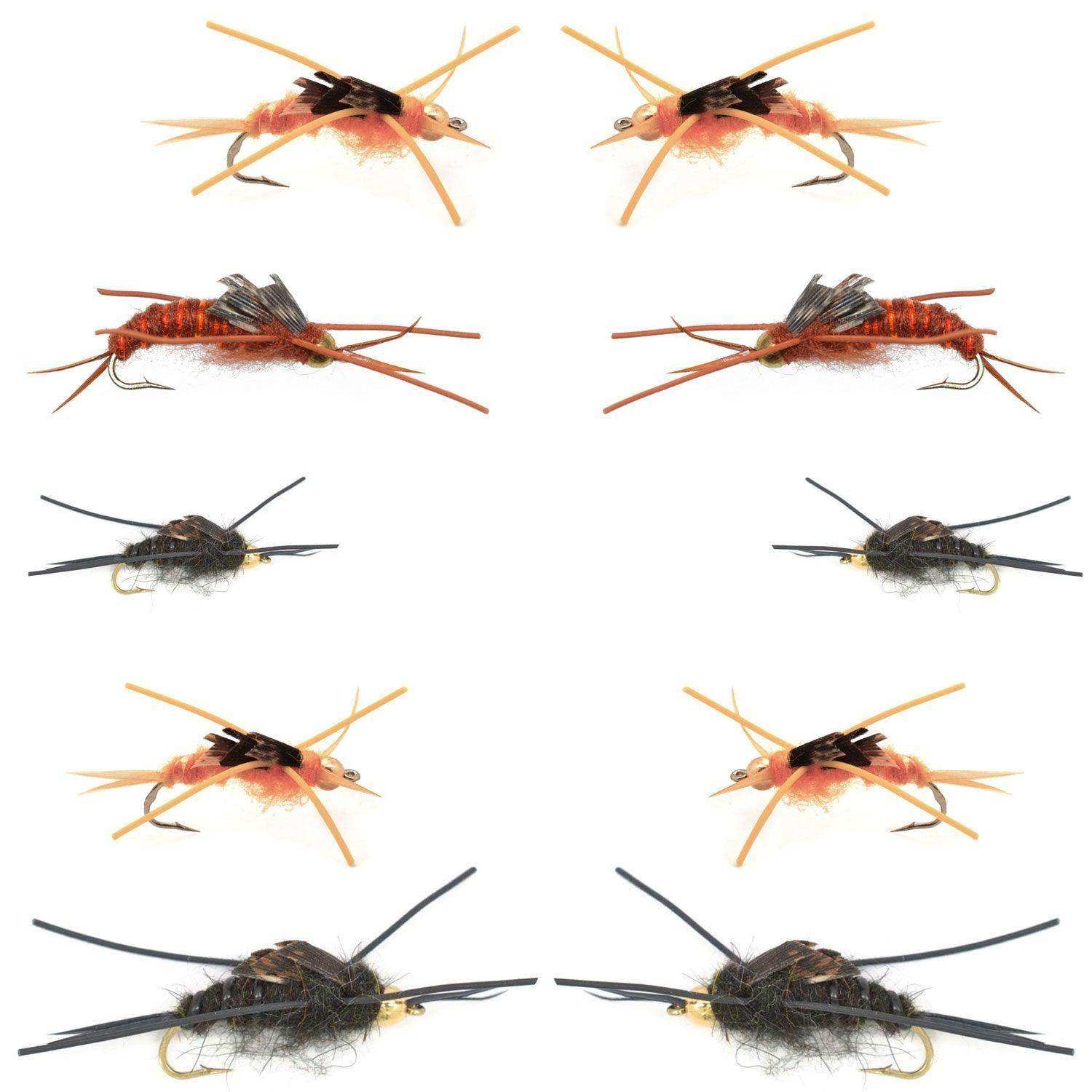 Basics Collection - Kaufmann's Tungsten Bead Stonefly Nymph Assortment - 10 Bead Head Rubber Legs Wet Flies - 5 Patterns - Hook Sizes 4, 6, 8, 10, and 12 - Skoutley Outdoors LLC