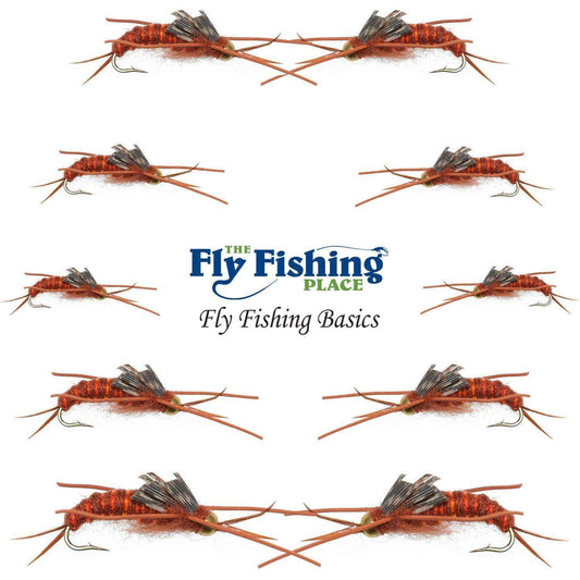 Basics Collection - Kaufmann's Brown Stonefly Nymph Assortment 10 Bead Head Rubber Legs Wet Flies - Hook Sizes 6, 8, 10, and 12 - Skoutley Outdoors LLC