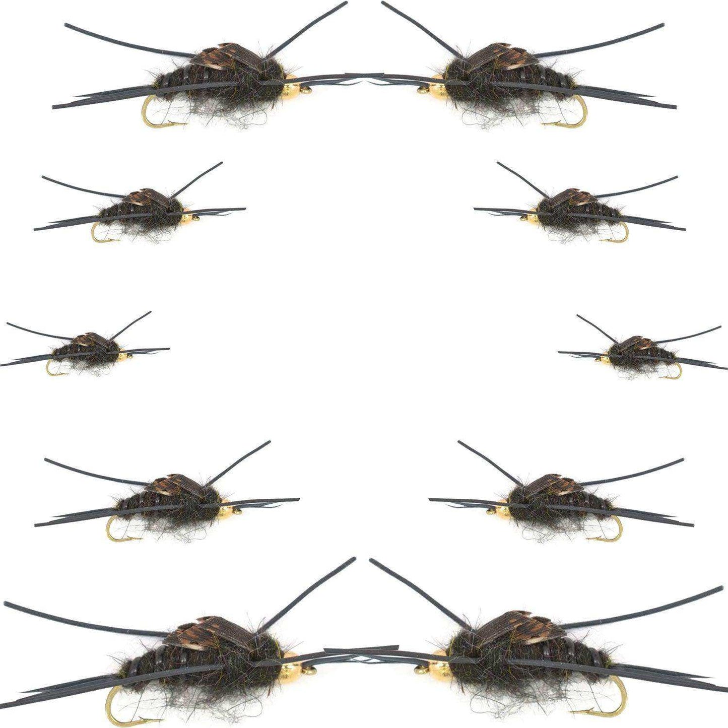 Basics Collection - Kaufmann's Tungsten Bead Black Stonefly Nymph Assortment 10 Bead Head Rubber Legs Wet Flies - 2 Each Hook Sizes 4, 6, 8, 10, and 12 - Skoutley Outdoors LLC