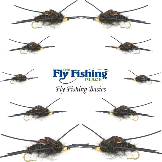 Basics Collection - Kaufmann's Tungsten Bead Black Stonefly Nymph Assortment 10 Bead Head Rubber Legs Wet Flies - 2 Each Hook Sizes 4, 6, 8, 10, and 12 - Skoutley Outdoors LLC