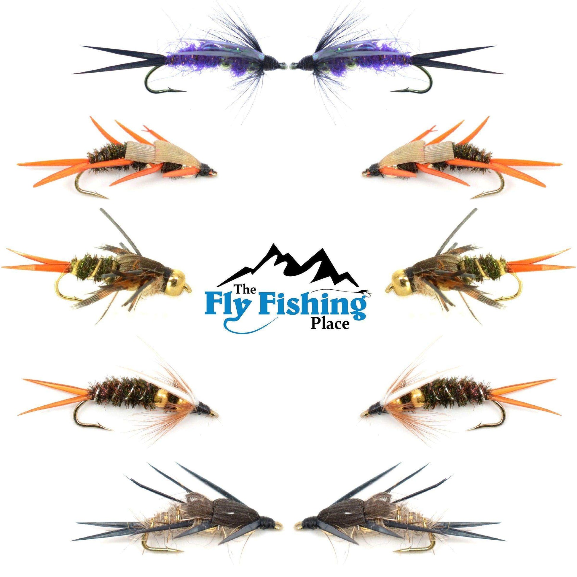 Basics Collection - Double Bead Head Nymph Assortment - 10 Wet Flies - 5 Patterns - Hook Size 8 - Skoutley Outdoors LLC