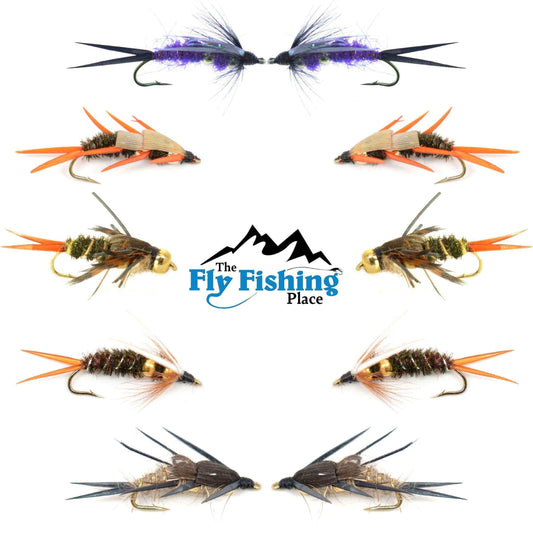 Basics Collection - Double Bead Head Nymph Assortment - 10 Wet Flies - 5 Patterns - Hook Size 14 - Skoutley Outdoors LLC