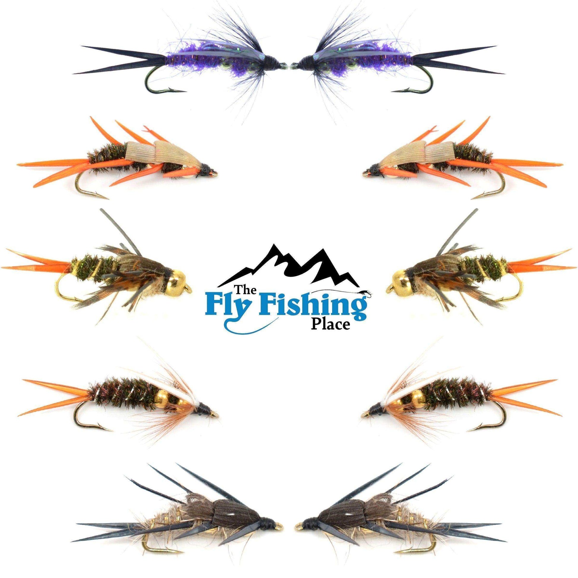 Basics Collection - Double Bead Head Nymph Assortment - 10 Wet Flies - 5 Patterns - Hook Size 12 - Skoutley Outdoors LLC