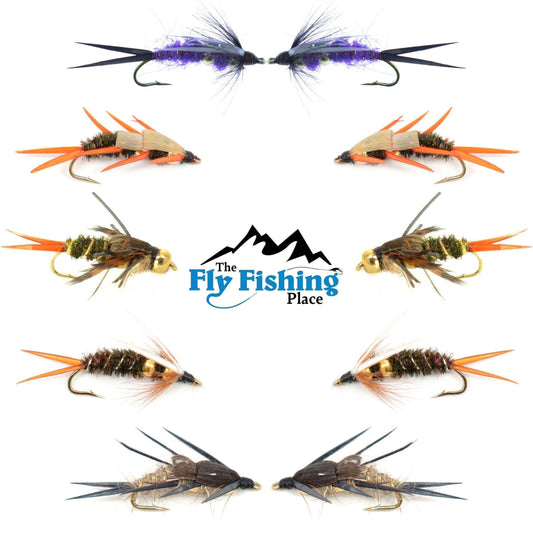 Basics Collection - Double Bead Head Nymph Assortment - 10 Wet Flies - 5 Patterns - Hook Size 12 - Skoutley Outdoors LLC