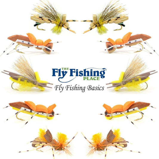 Basics Collection - Foam Hoppers Dry Fly Assortment - 10 Dry Fishing Grasshopper Flies - 5 Patterns - Hook Size 10 - Skoutley Outdoors LLC