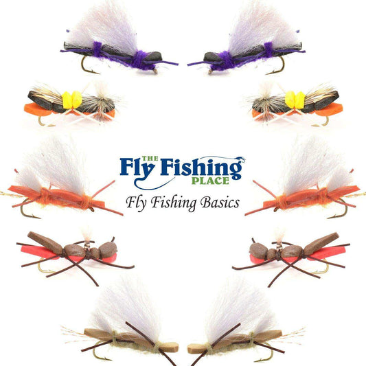 Basics Collection - Chernobyl Ant Foam Dry Fly Assortment - 10 Dry Fishing Grasshopper Flies - 5 Patterns - Hook Size 10 - Skoutley Outdoors LLC