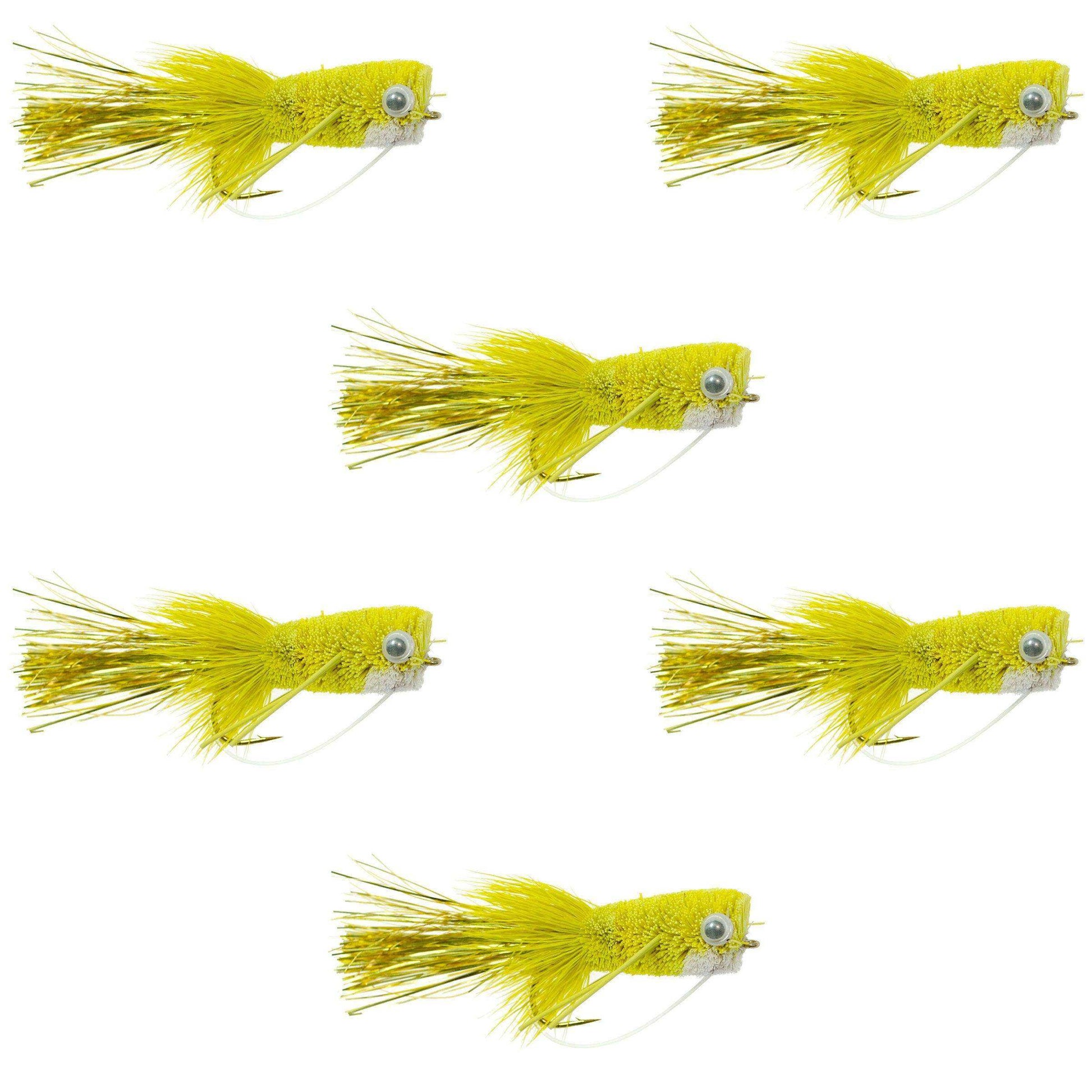 Flashtail Bass Popper 6 Flies Size 8 - Yellow Bass Fly Fishing Bug Wide Gape Bass Hooks With Weed Guard - Skoutley Outdoors LLC