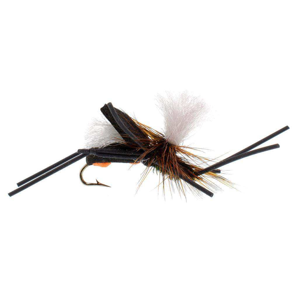 Basics Collection - Foam Hoppers Dry Fly Assortment #2 - 10 Dry Fishing Grasshopper Flies - 5 Patterns - Hook Size 10 - Skoutley Outdoors LLC