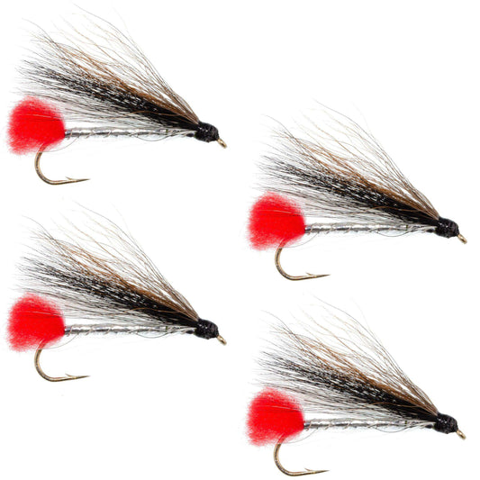 Black Nose Dace Classic Streamer Flies - Set of 4- Hook Size 4 - Skoutley Outdoors LLC