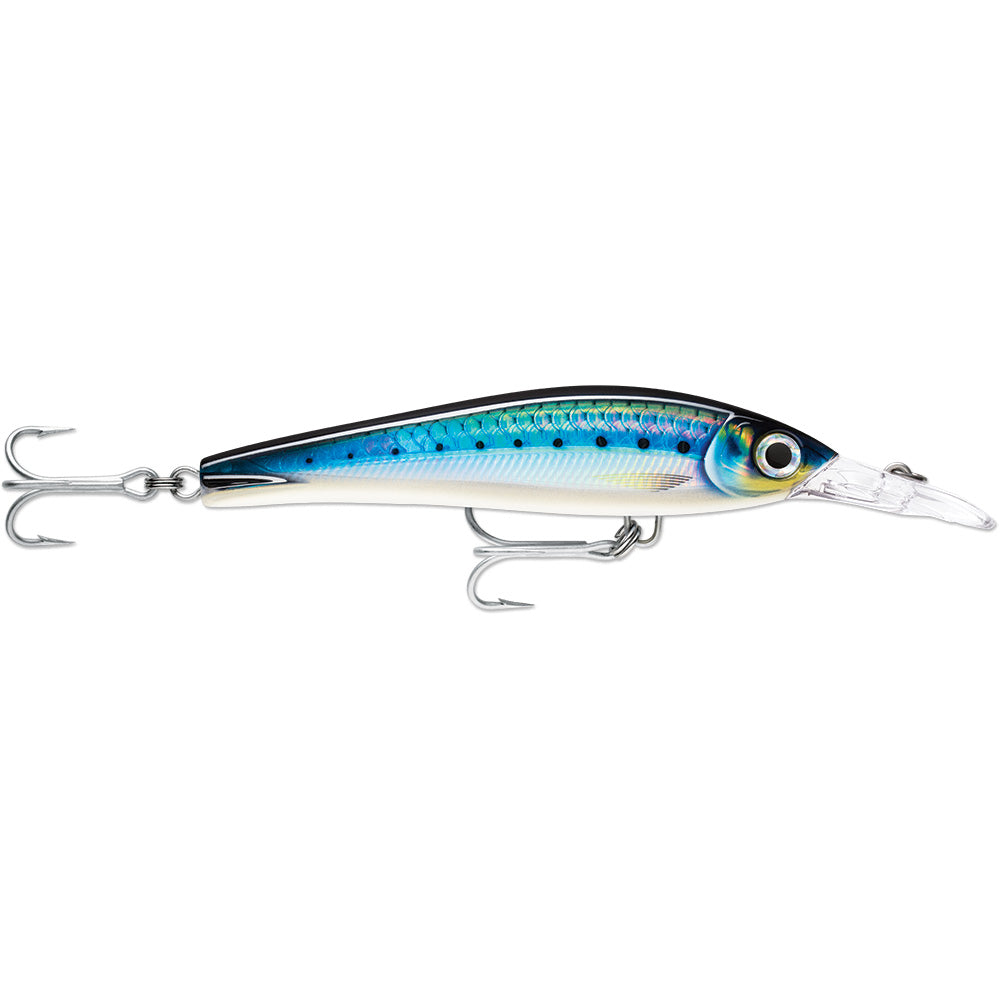 Rapala X-Rap® Magnum® Xtreme 6-1/4" HD Blue Sardine - Skoutley Outdoors LLC