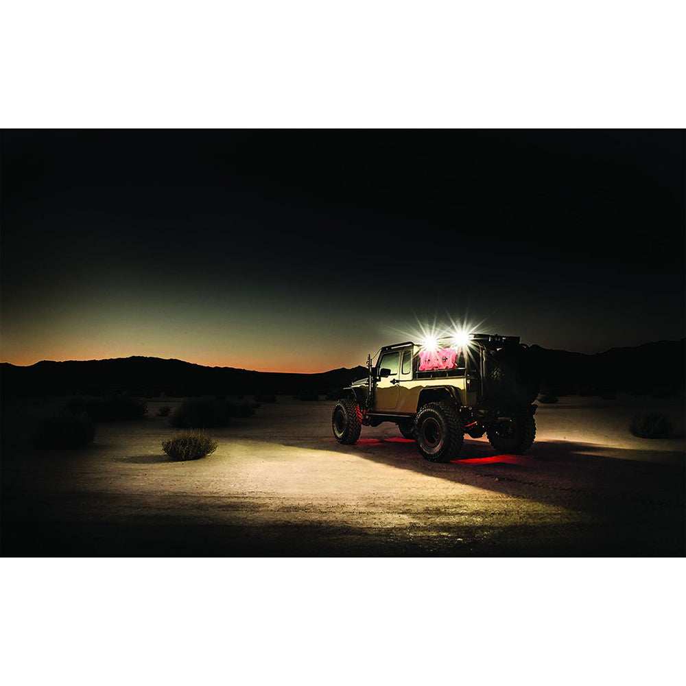 RIGID Industries 1" x 2" 65° - DC Scene Light - Black - Skoutley Outdoors LLC