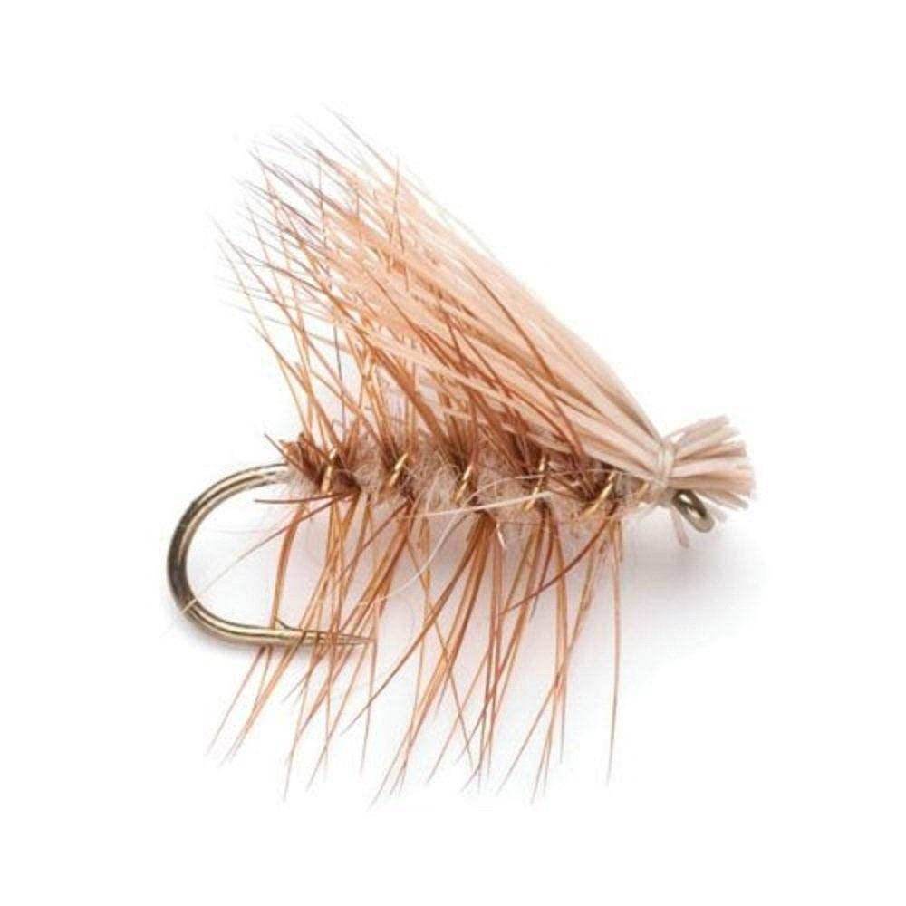 Eastern Trout Fly Assortment - 24 Essential Dry and Nymph Fly Fishing Flies Collection - Trout Flies with Gift Fly Box - Skoutley Outdoors LLC