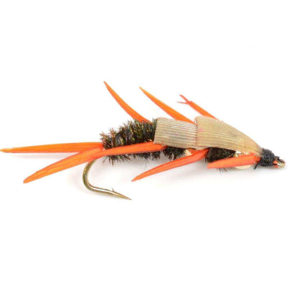 Double Bead Peacock Stonefly Nymph with Amber Biot Legs Fly Fishing Flies - Trout and Bass Wet Fly Pattern - 6 Flies Hook Size 14 - Skoutley Outdoors LLC