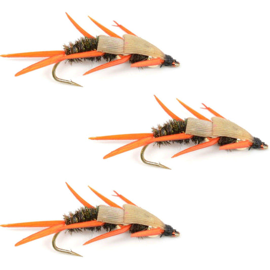 3 Pack Double Bead Peacock Stonefly Nymph with Amber Biot Legs Fly Fishing Flies - Trout and Bass Wet Fly Pattern - Hook Size 12 - Skoutley Outdoors LLC