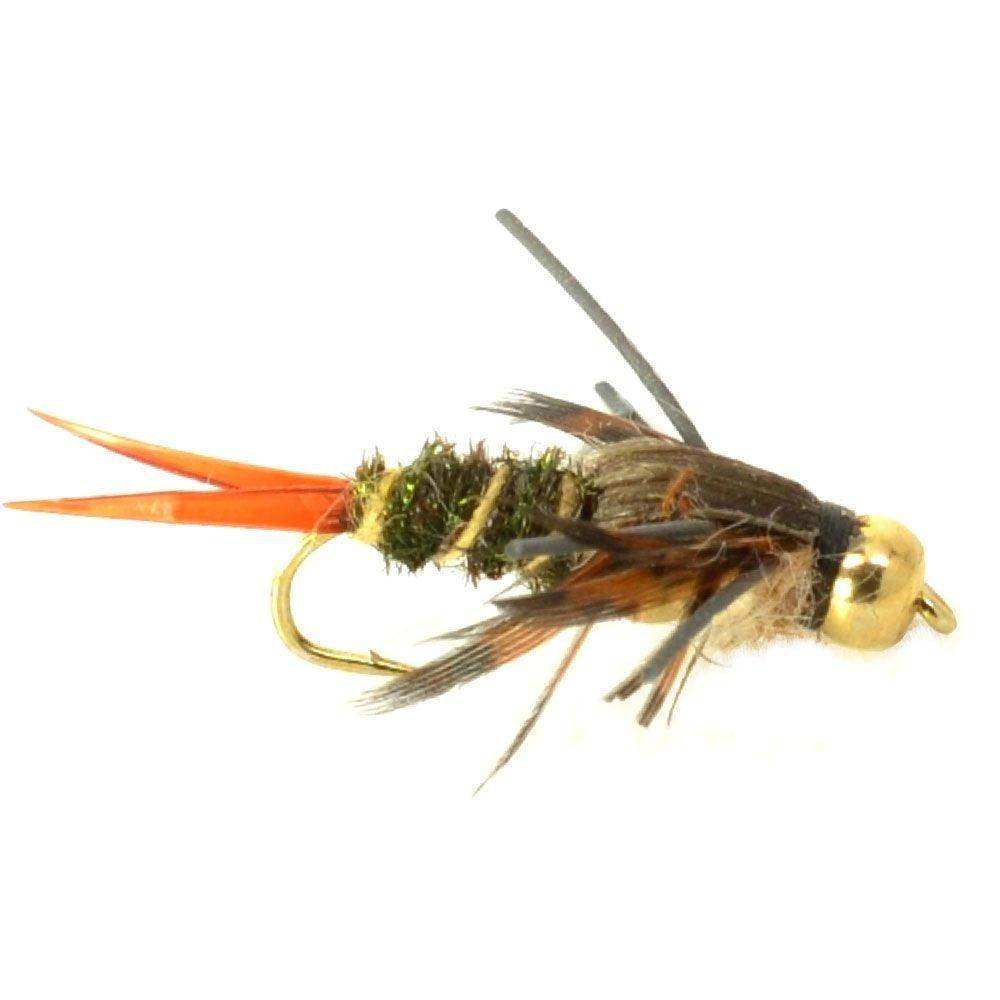 Basics Collection - Double Bead Head Nymph Assortment - 10 Wet Flies - 5 Patterns - Hook Size 8 - Skoutley Outdoors LLC