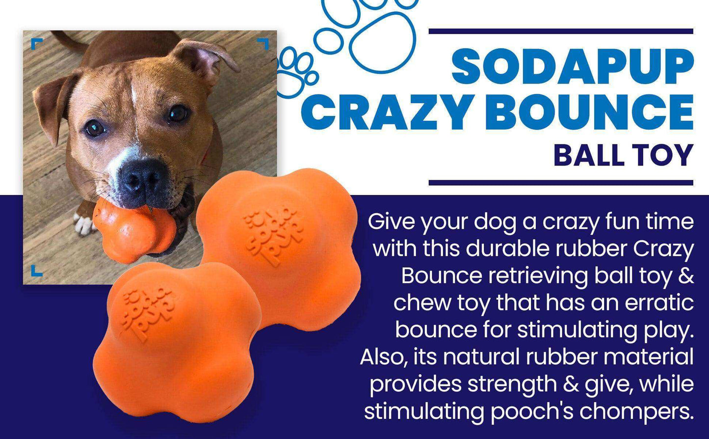 Crazy Bounce Ultra Durable Rubber Chew & Retrieving Toy - Skoutley Outdoors LLC