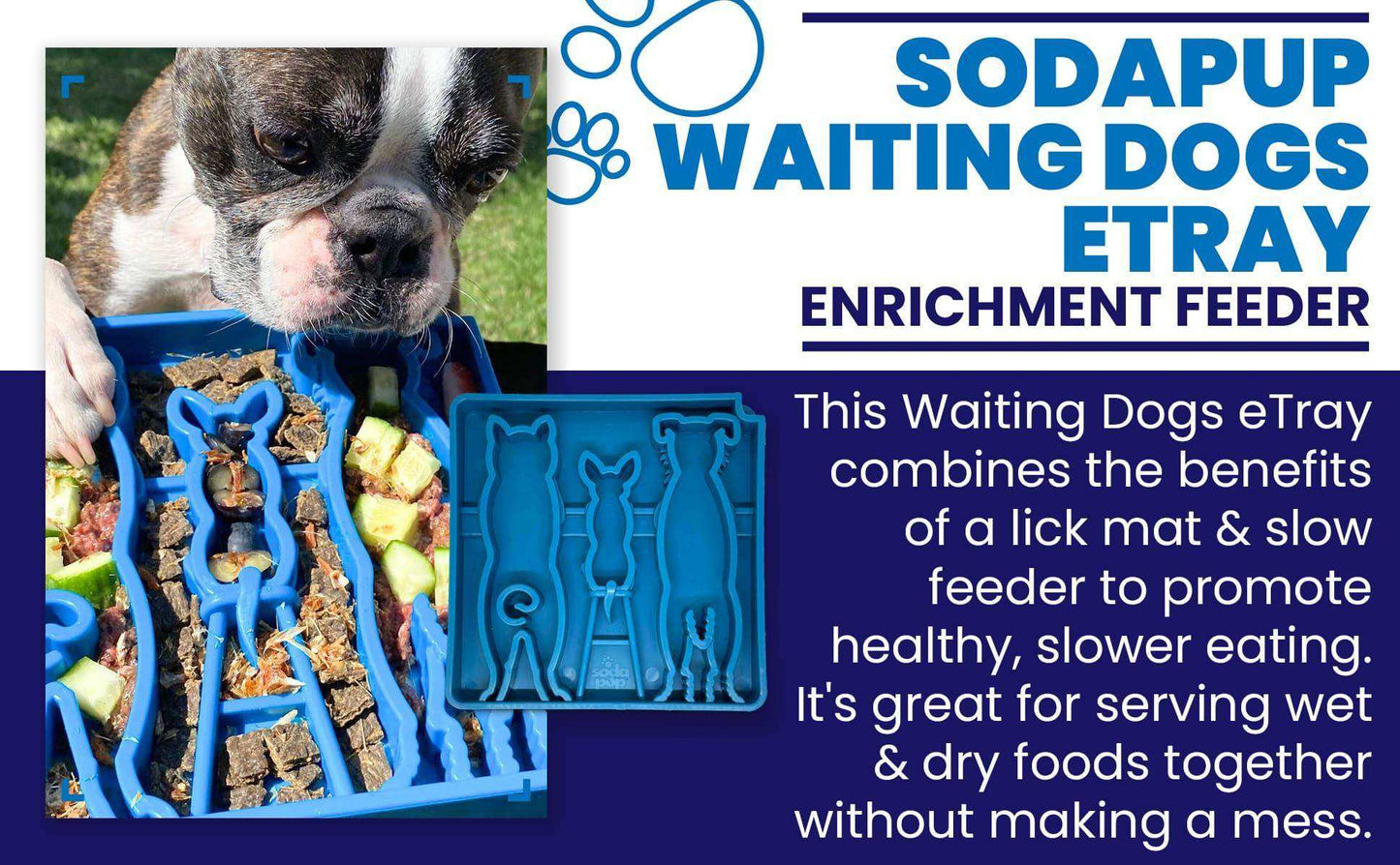 Waiting Dogs Design eTray Enrichment Tray for Dogs - Skoutley Outdoors LLC