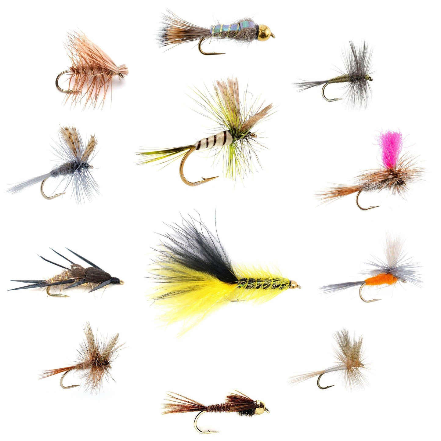 Eastern Trout Fly Assortment - 12 Essential Dry and Nymph Fly Fishing Flies Collection - Trout Flies with Gift Fly Box - Skoutley Outdoors LLC