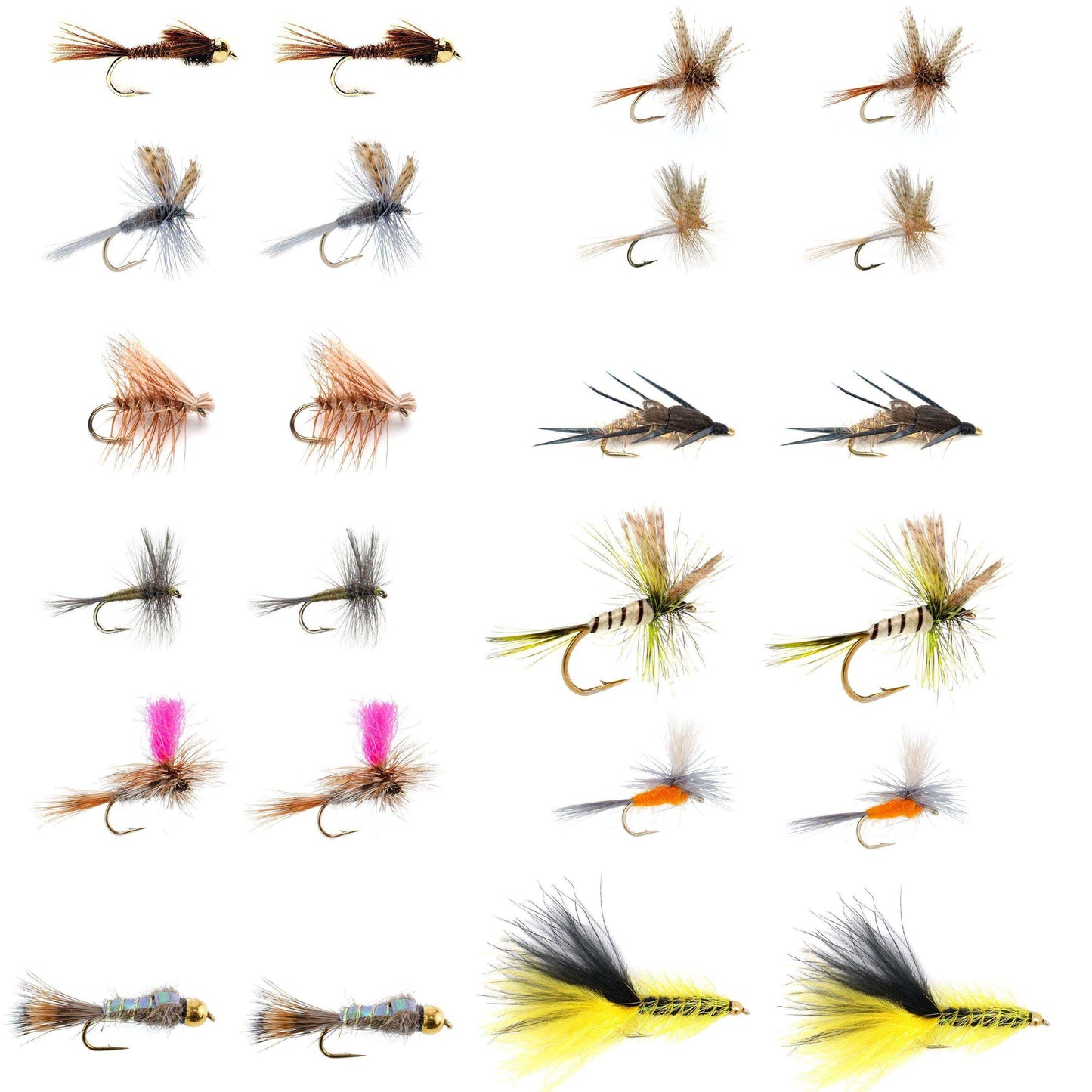 Eastern Trout Fly Assortment - 24 Essential Dry and Nymph Fly Fishing Flies Collection - Trout Flies with Gift Fly Box - Skoutley Outdoors LLC